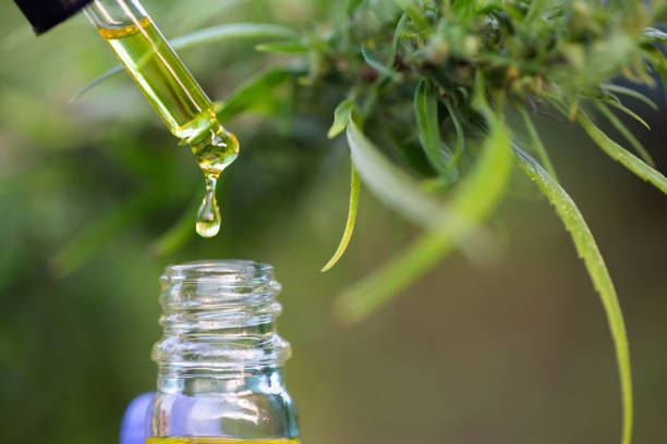 Les effets bénéfiques de l’e-liquide au CBD