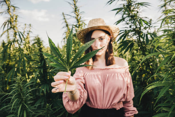 Comment perdre des kilos en utilisant le CBD ?