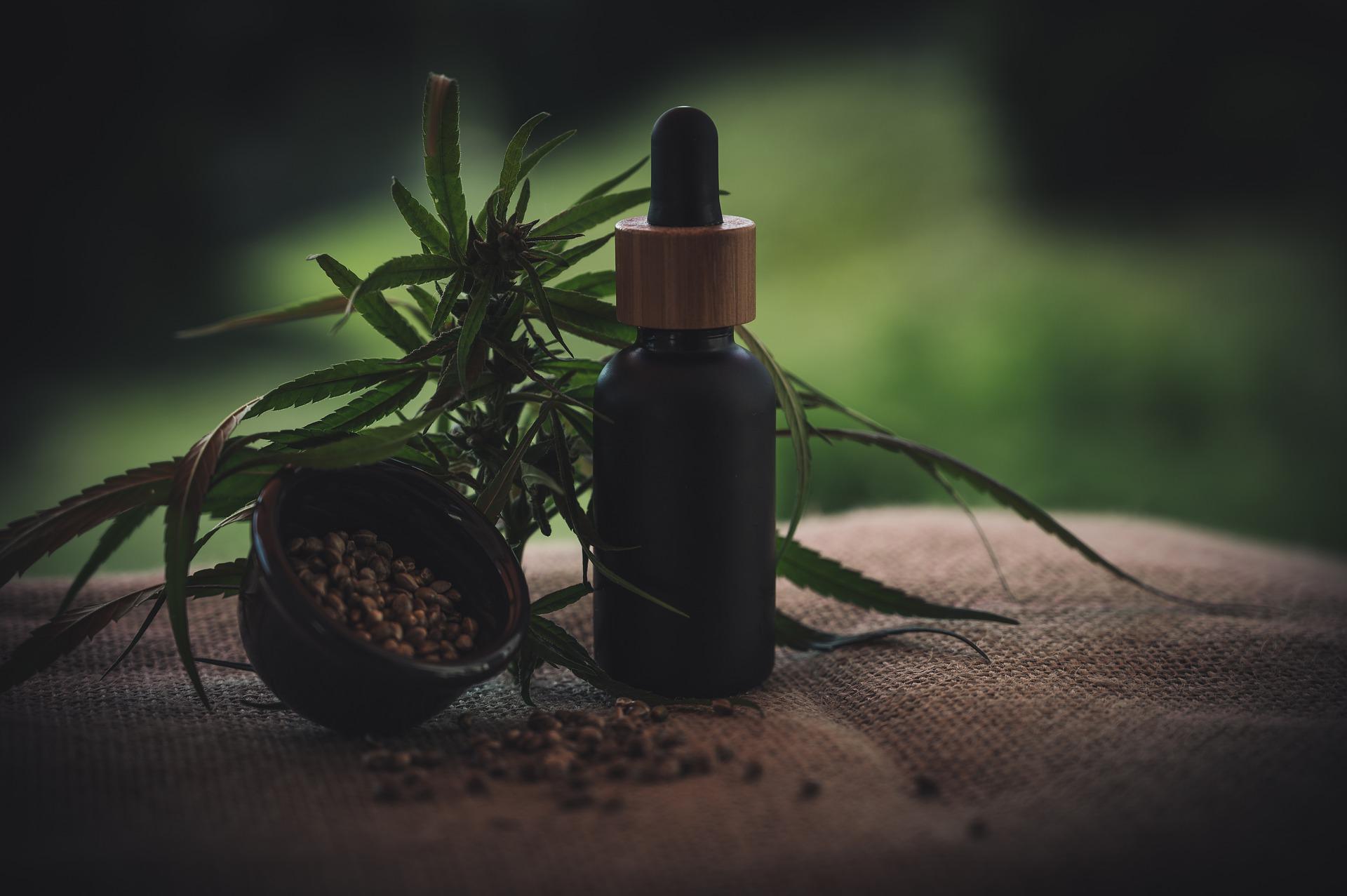 Pourquoi consommer de l’huile de CBD ?