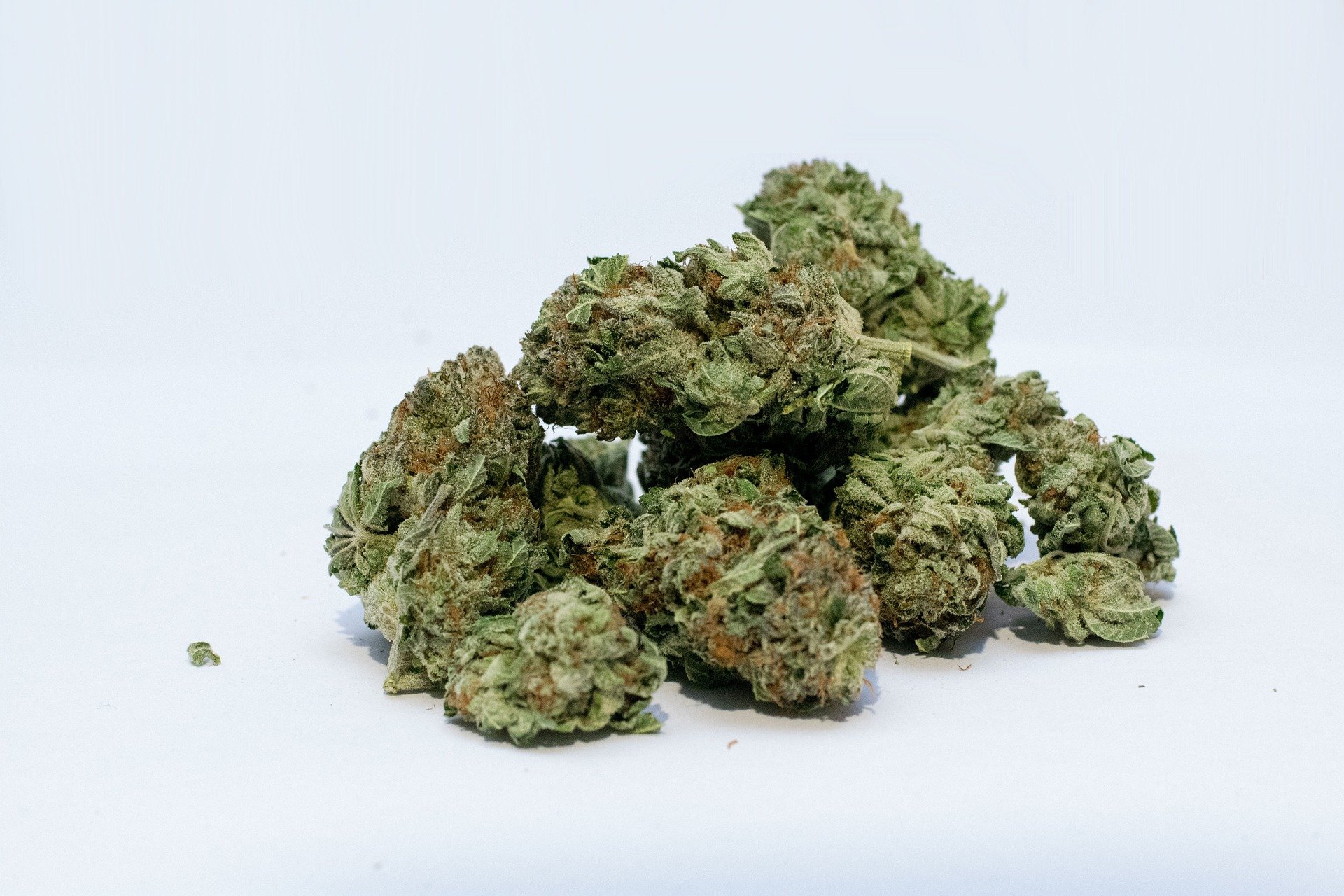 Quels sont les dangers de la consommation du cannabis ?