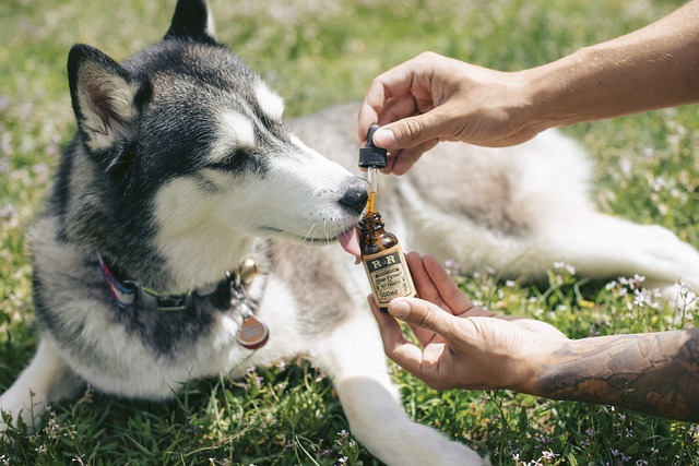 Les avantages de l'utilisation du CBD comme moyen de relaxation naturelle