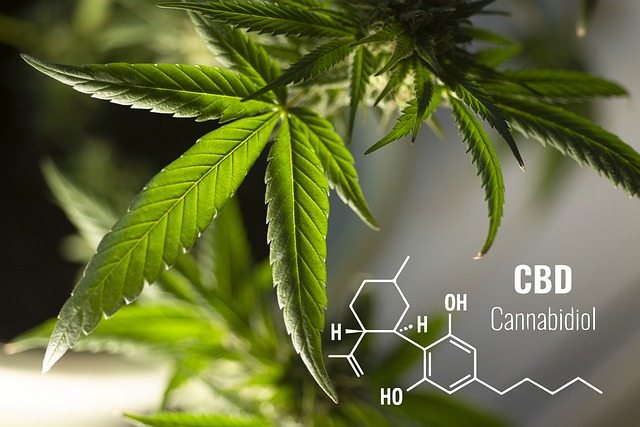 Les produits à base de CBD pour l'aide à la détente et à l'anxiété