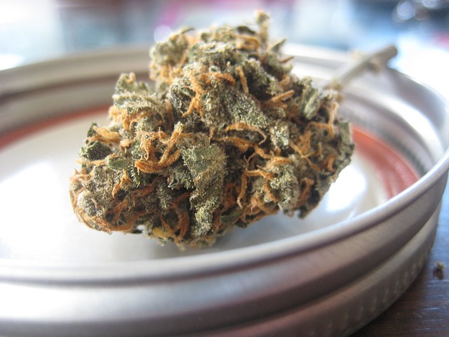 Les différents types de produits à base de CBD