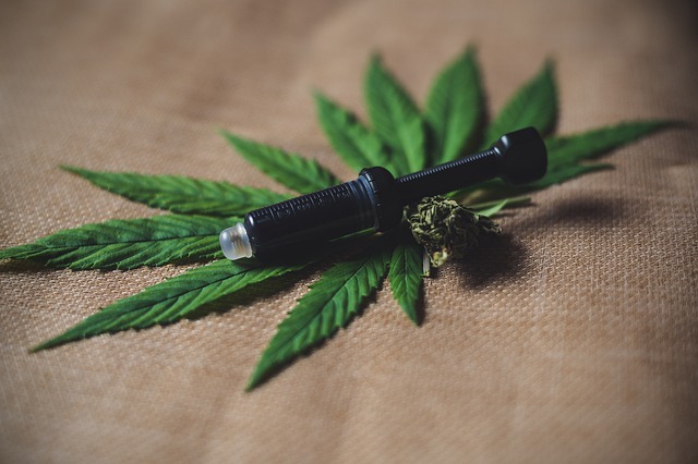 Comment le CBD interagit-il avec le système endocannabinoïde?