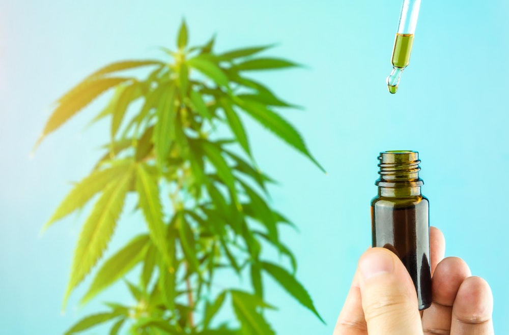 Le CBD et King Kong : la clé de sa tendresse cachée ?