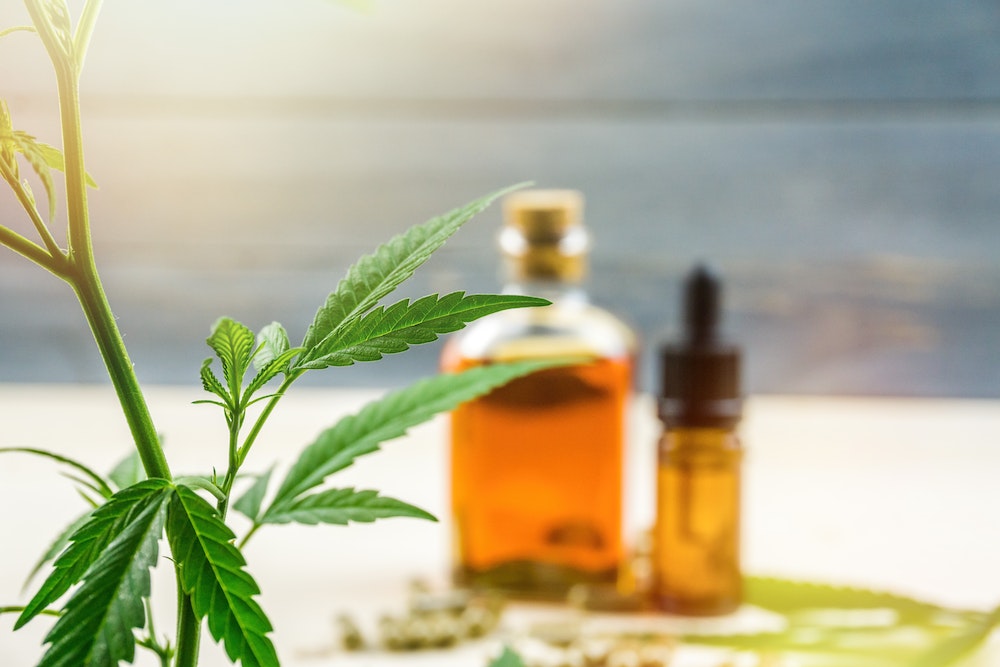 L'élixir du Dr Jekyll : avait-il du CBD comme ingrédient ?