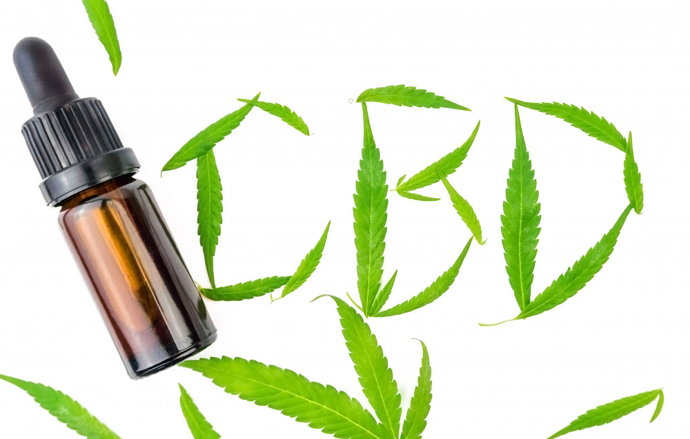 Les templiers et leur quête du Graal : cherchaient-ils vraiment du CBD ?