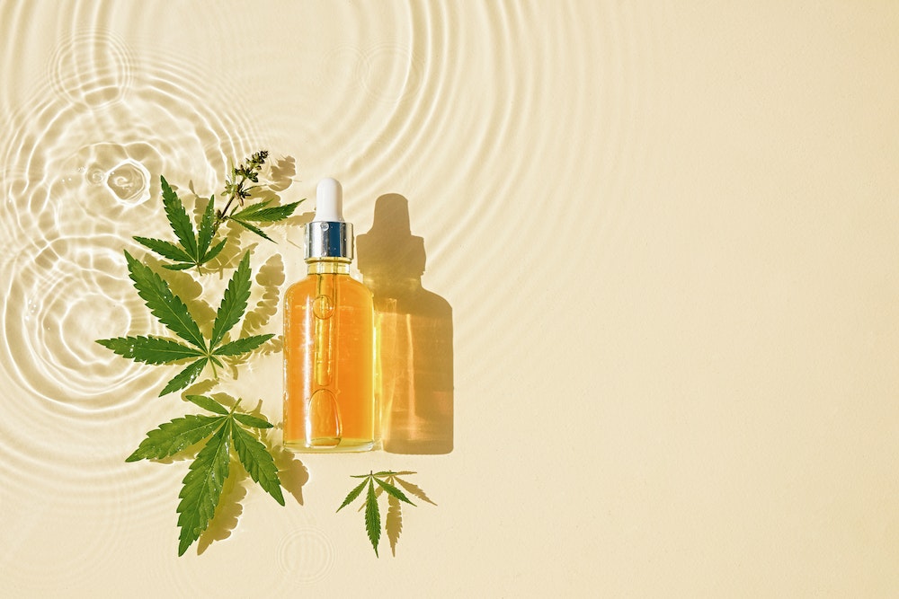 L'Arche de Noé : protégée par une couche de CBD ?