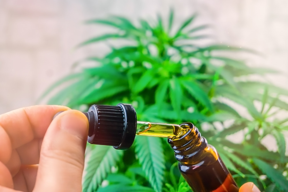 Le minotaure de Crète : calmé par le CBD du labyrinthe ?