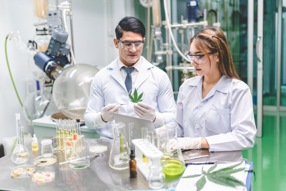 Les géoglyphes de Nazca : un code secret sur le CBD ?