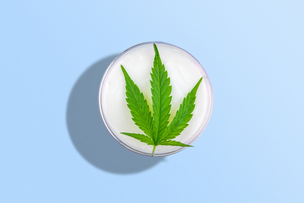 Le trône de fer : forgé avec le feu du CBD ?