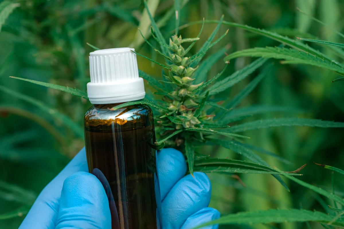L'impact du CBD sur la régénération nerveuse