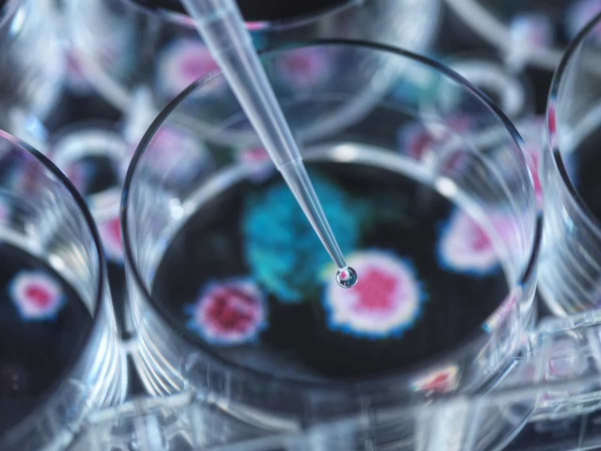 Le potentiel du CBD dans le traitement des phobies spécifiques