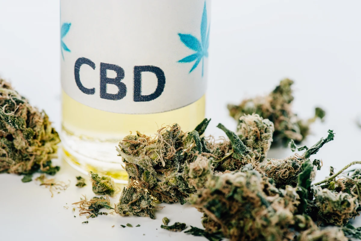 Huile de CBD : Le Guide Ultime pour Maîtriser son Utilisation